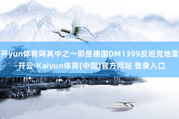 开yun体育网其中之一即是德国DM1399反坦克地雷-开云·Kaiyun体育(中国)官方网站 登录入口