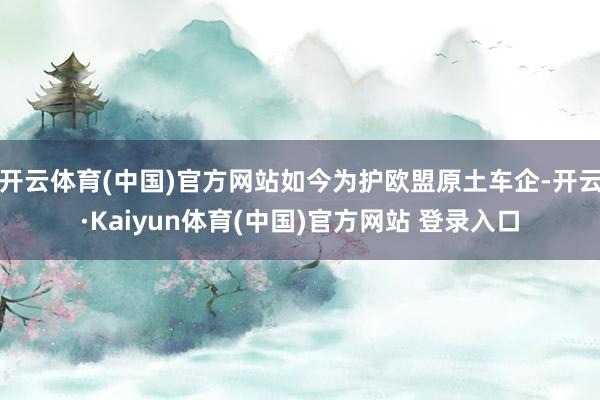 开云体育(中国)官方网站如今为护欧盟原土车企-开云·Kaiyun体育(中国)官方网站 登录入口